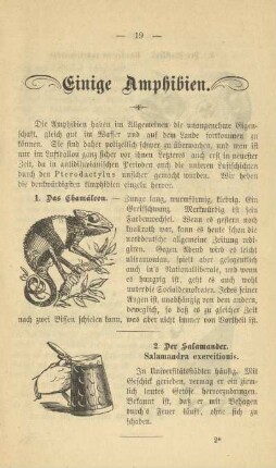 Einige Amphibien