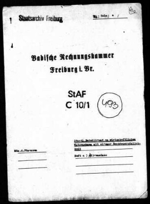 Staatliche Beteiligung an wirtschaftlichen Unternehmen mit eigener Rechtspersönlichkeit; Allgemeines
