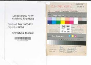 Entnazifizierung Richard Ammelung, geb. 31.10.1899 (Kaufmaennischer Angestellter)