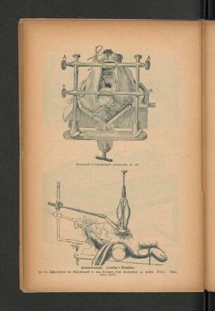 Bernard' s Physiologie opératoire S. 137.