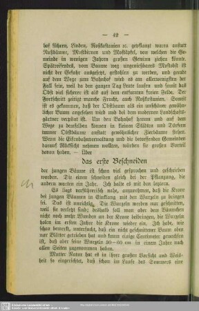Das erste Beschneiden