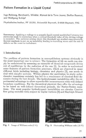 Pattern formation in a liquid crystal