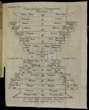 Schema Graduum Consanguinitatis Majores.