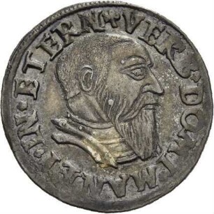 Liegnitz und Brieg: Friedrich II.