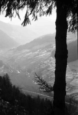 Todtnau: Tal nach Todtnau im Gegenlicht bei Todtnau