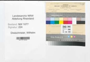 Entnazifizierung Wilhelm Dreischmeier , geb. 03.01.1891 (Polizist)