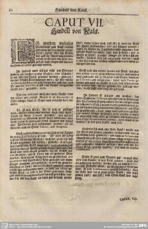 CAPUT VII. Handelt von Kalck.