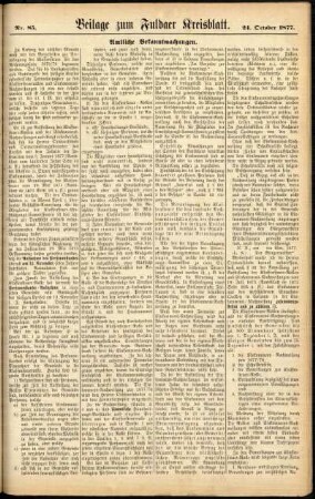 Zweite Ausgabe vom Mittwoch, den 24. Oktober 1877.