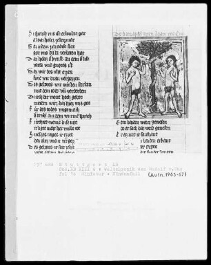 Weltchronik - Bruder Philipp — ---, Folio 1recto-256recto---, Folio 1recto-256rectoSündenfall, Folio 16recto