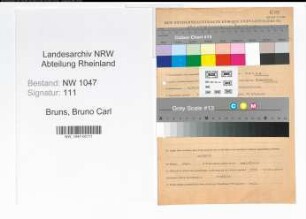 Entnazifizierung Bruno Carl Bruns , geb. 06.11.1901 (Rechtsanwalt)