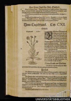 Cap. CXII. Vom Engeltranck.