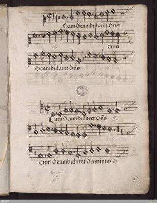 [Thomas Crequilion] : Cum deambularet dominus