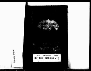 Konsensbuch von Hainichen