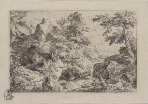 Der Wasserfall zwischen Felsen