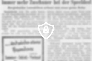[Name maskiert] Zuschauer bei der Speeldeel