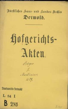 Böger, Bernd, Vogt zu Lage gegen Jonas Martinius, Pastor zu Lage - Beleidigung