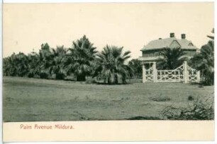 Mildura, Australien. Palm Avenue