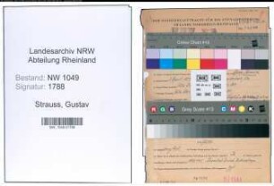 Entnazifizierung Gustav Strauss , geb. 03.04.1890 (Kaufmann)