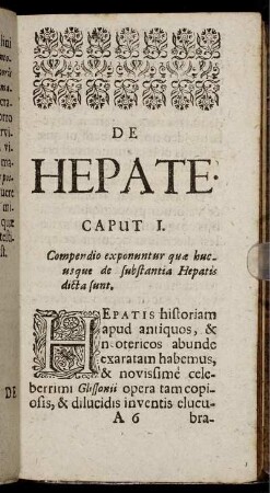 Caput I. Compendio exponuntur quæ bucusque de substantia Hepatis dicta sunt.