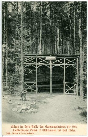 Mühlhausen bei Bad Elster, Im Heimwald des Genesungsheimes