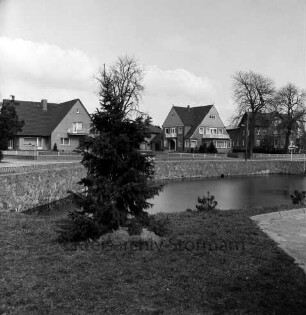 Dorfstraße: rechts Dorfteich: links davor Tanne: hinten Bäume und Häuser