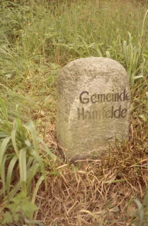 Grenzstein [Nr. 149] zwischen Gemeinde Hamfelde und Gemeinde Trittau (Hahnheide): Seite Hamfelde