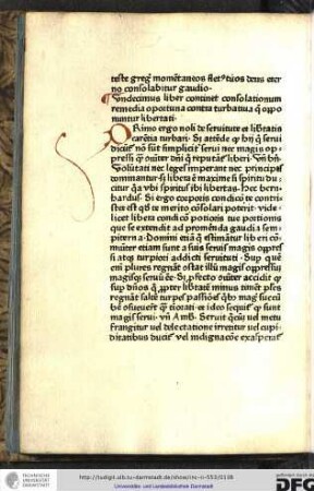 Undecimus liber continet consolationum remedia oportuna contra turbativa que opponuntur libertati.