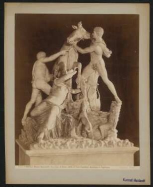 Der Farnesische Stier, Neapel: Ansicht der Skulptur von Apollonios und Tauriskos im Archäologischen Nationalmuseum Neapel
