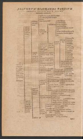 Secundum Diagramma Partium Capitis Externarum Enumerationem continens.