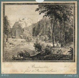 Ansicht des Plauenschen Grundes mit der Buschmühle