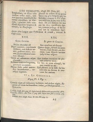 XIII. Genus Coraciae.
