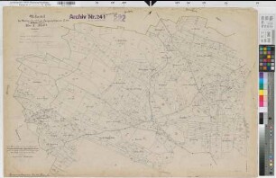 Langenholthausen (Balve), Blintrop (Neuenrade), Umlegung Langenholthausen-Blintrup, Bl.4 Urkarte I Langenholthausen Flur 10