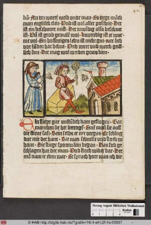 Von der Fliege und dem Kahlkopf.