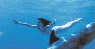Dolphins