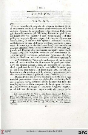 Tav. XV