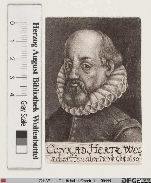 Bildnis Conrad Hertz (II)
