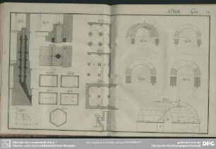 Tab. XVII. Fig. 334-351