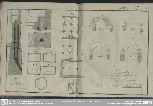 Tab. XVII. Fig. 334-351