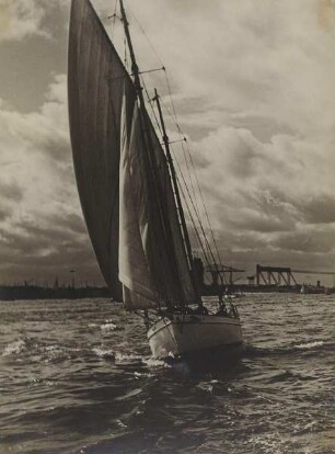 Segler auf der Elbe