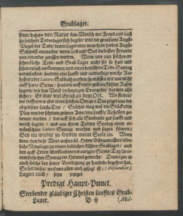 Predigt Haupt-Punct.