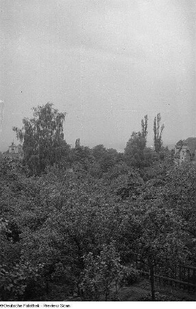 Urlaubsaufnahmen in Wustrow; Hochzeitsgesellschaft; Brandenburger Tor; Porträt zweier junger Männer in Uniform