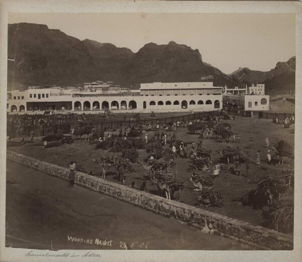 Camel market in Aden