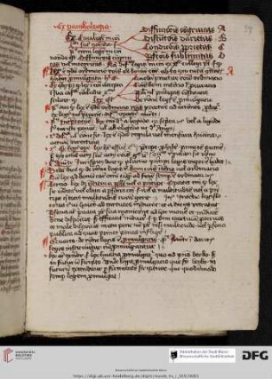 Reinerus de Pisis, Pantheologia (De lege)