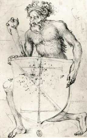 Bärtiger Mann mit Wappenschild : Dürer, Albrecht : Bärtiger Mann mit Wappenschild