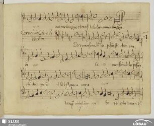 Canis, Cornelius: Ecce mensurabiles posuisti