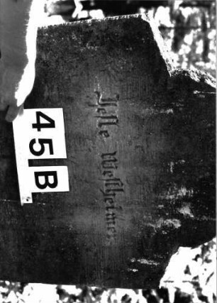 Grabstein 45 (Index: 99897425) Maße HxBxT: 142x57x12 cm Symbolik: fünfzäpfiger Stern: Grabstein 45B