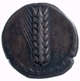 Münze, Stater, ca. 550 - 450 v. Chr.