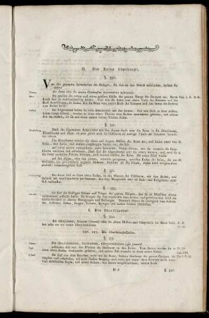 I. Die Oberschenkel.