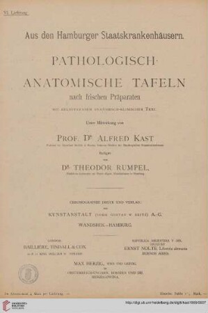 Heft 6: Pathologisch-anatomische Tafeln