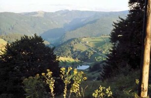 Schauinsland: Feldberg mit Schneehaube; vom Schauinsland